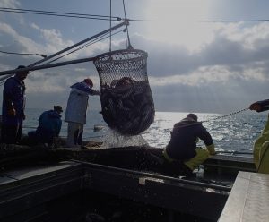 北隆丸_オホーツク活魚