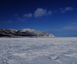 北隆丸_オホーツク活魚