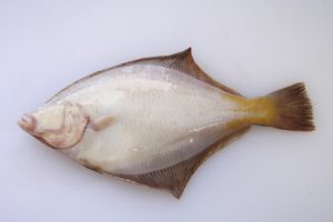 カレイ_北隆丸_オホーツク活魚