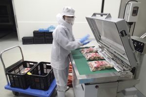 ハーフボイル帆立の袋詰め作業