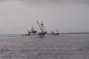 猿払村ホタテ漁_オホーツク活魚