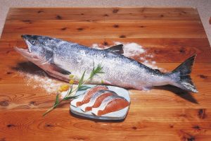 めじか鮭_北隆丸_オホーツク活魚