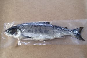 めじか鮭_北隆丸_オホーツク活魚