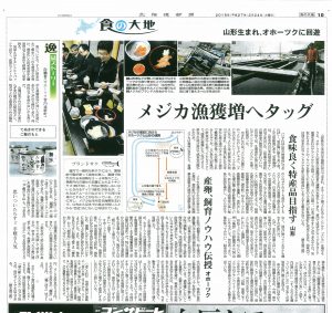 めじか鮭_北隆丸_オホーツク活魚