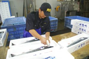 船上活〆めじか鮭『隆神』_北隆丸_オホーツク活魚