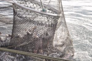 北隆丸_オホーツク活魚