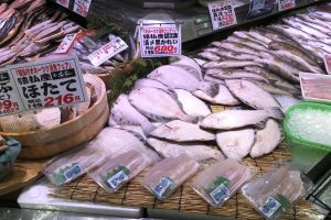 パーシャル窒素氷詰めして納入した猿払産活〆黒がれい_北隆丸_オホーツク活魚