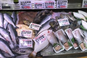 パーシャル窒素氷詰めして納入した猿払産の魚介_北隆丸_オホーツク活魚