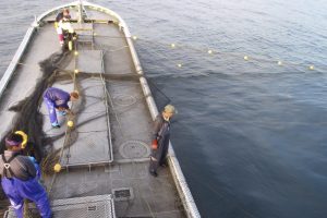 北隆丸_オホーツク活魚