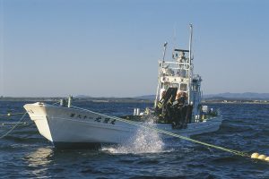 北隆丸_オホーツク活魚