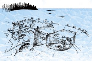 定置網_北隆丸_オホーツク活魚