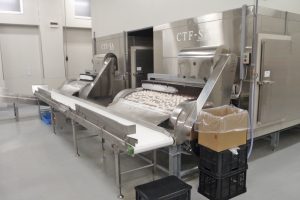 トンネルフリーザーによるホタテ玉冷凍結