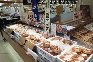 オホーツク流氷明け毛蟹
