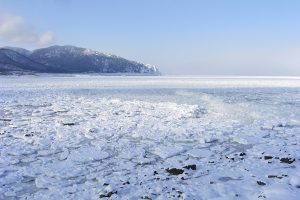 枝幸町神威岬_北隆丸_オホーツク活魚
