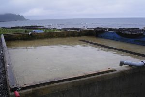 活魚センター選別水槽_北隆丸_オホーツク活魚