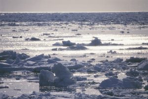 流氷_北隆丸_オホーツク活魚