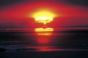 枝幸町_北隆丸_オホーツク活魚