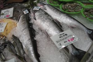 めじか鮭_北隆丸_オホーツク活魚