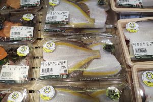 オホーツク活魚_マリン・エコ・ラベル_藤本漁業部