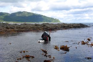 ウニ漁_オホーツク活魚