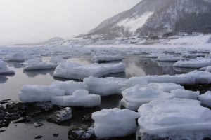 流氷_北隆丸_オホーツク活魚