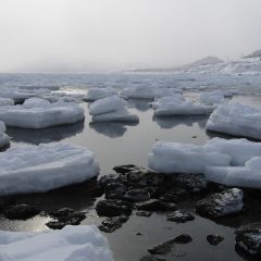 流氷_北隆丸_オホーツク活魚