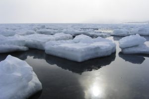 流氷_北隆丸_オホーツク活魚