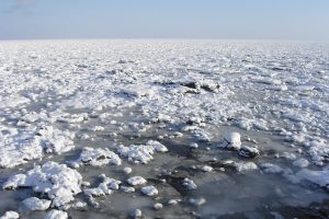 流氷_北隆丸_オホーツク活魚