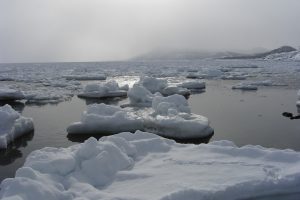 流氷_北隆丸_オホーツク活魚