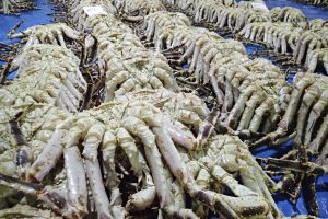 枝幸魚地方卸売市場
