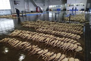 枝幸魚地方卸売市場