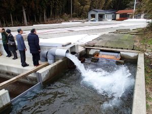 オホーツク活魚_めじか鮭交流