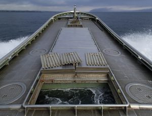 オホーツク活魚_北隆丸