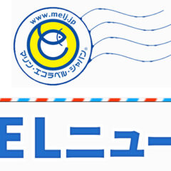 MELニュース